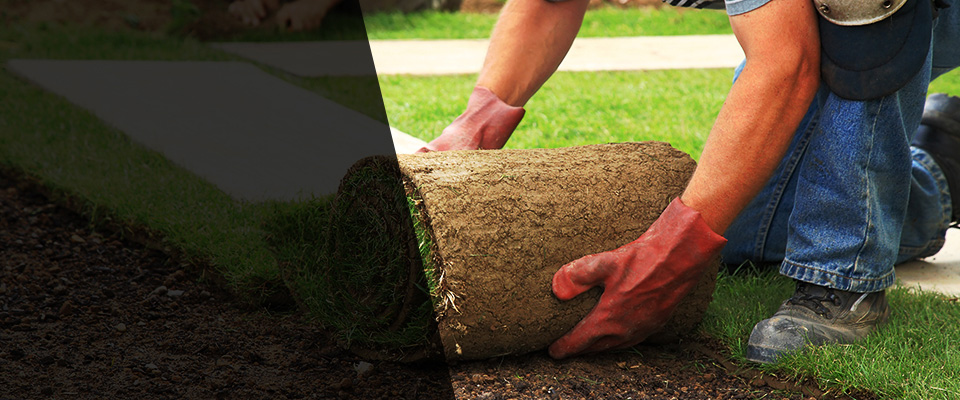 Rockville Centre Landscapers